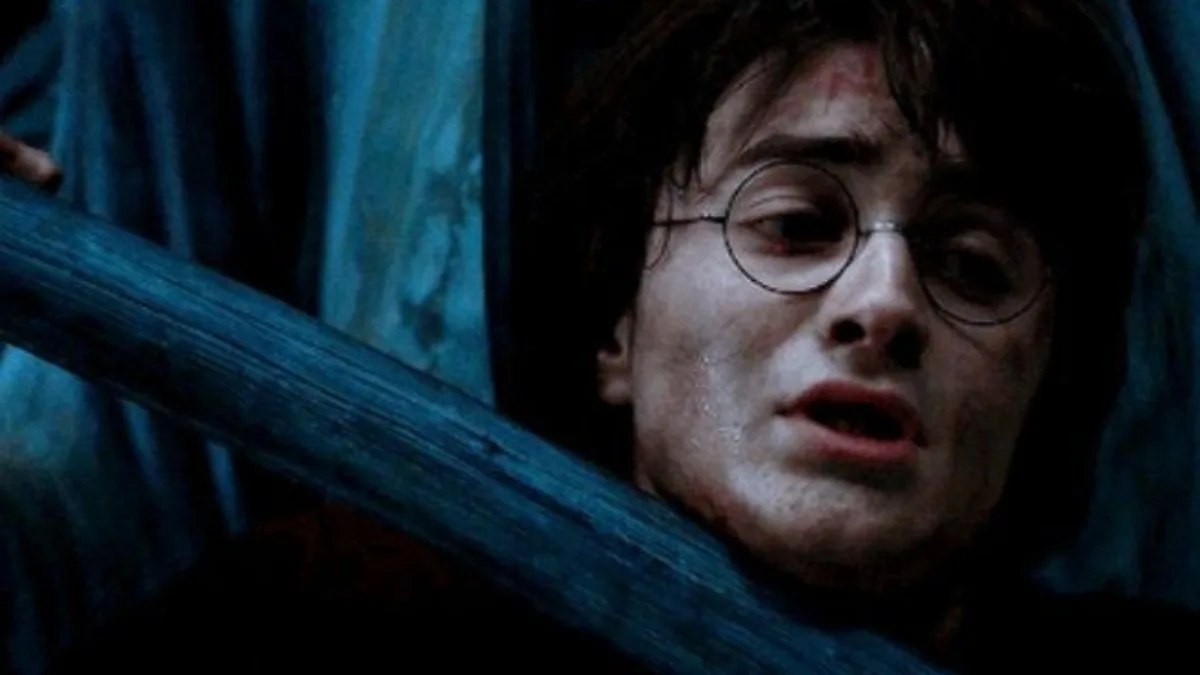The Childhood Trauma of Harry Potter