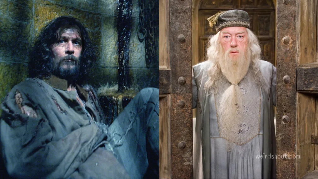 Sirius Black and Albus Dumbledore