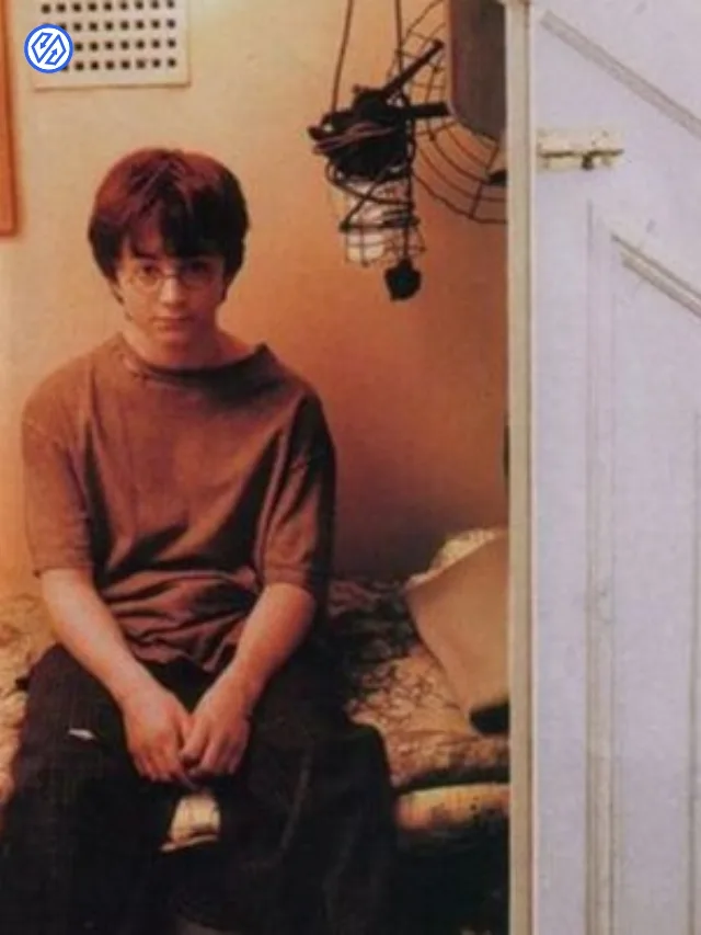 The Untold Childhood Trauma of Harry Potter: Overcoming the Shadows of the Past